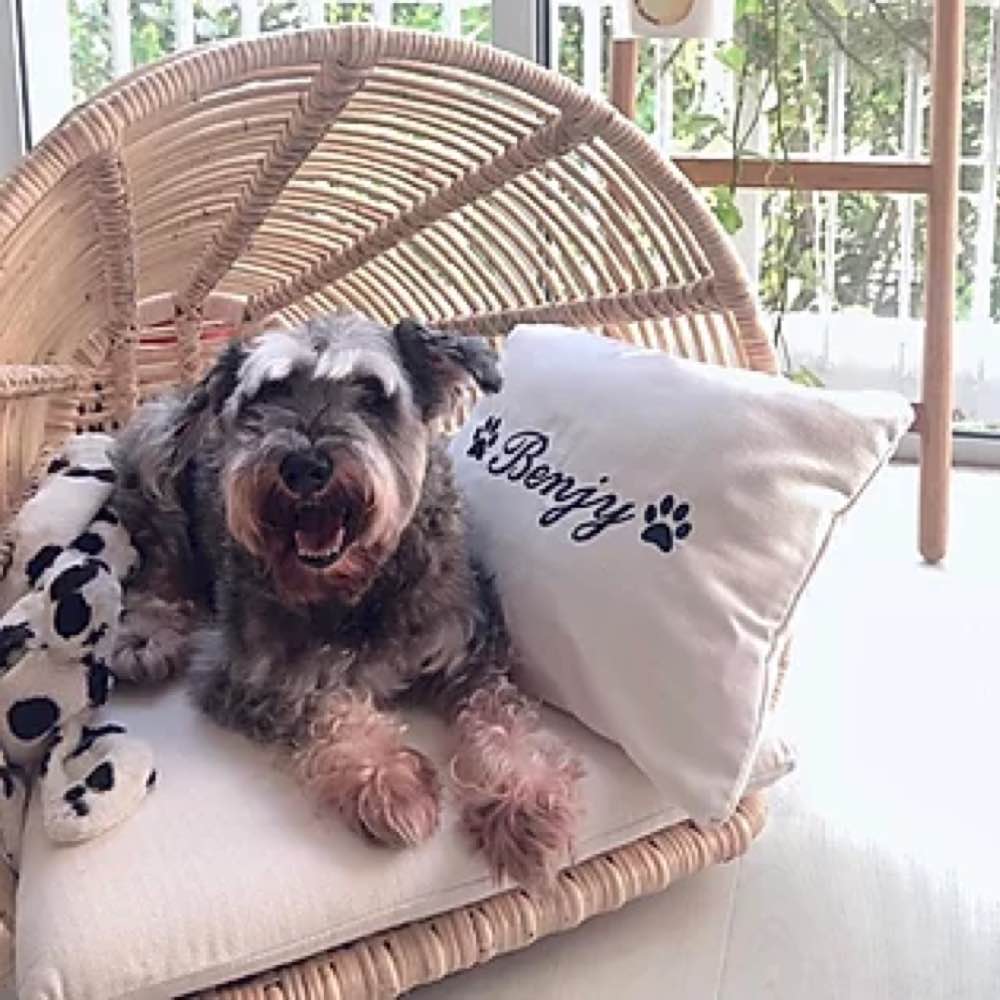 Furnish Gelato Cone Cat & Dog Bed (Natural Willow) - Kohepets