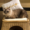 Furnish Ginger Cat Bed (Natural) - Kohepets