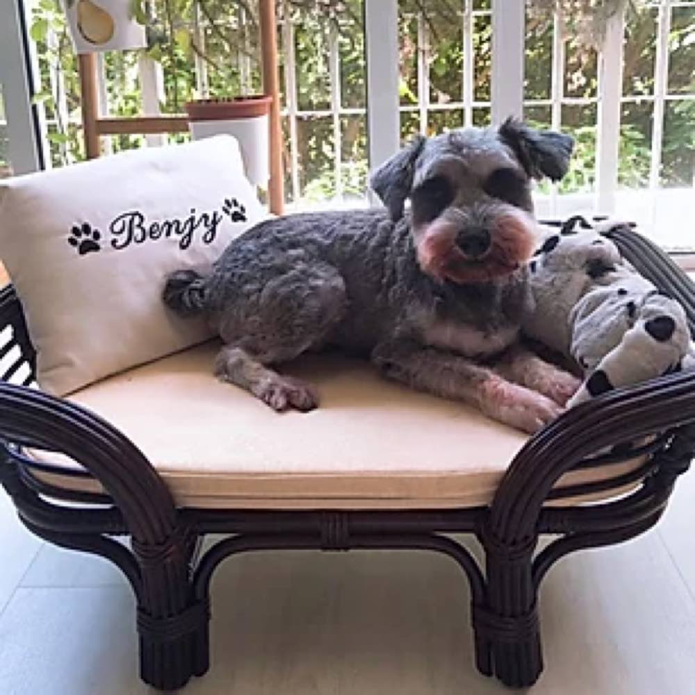 Furnish Kitkat Dog Bed (Coffee Brown BL) - Kohepets