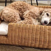 Furnish Shortbread Dog Bed (Natural Willow) - Kohepets