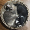 Furnish Sourdough Cat & Dog Bed (Grey) - Kohepets