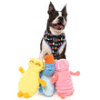 FuzzYard Rolly The Bed Bug Plush Dog Toy (Blue)