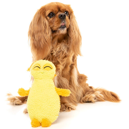 15% OFF: FuzzYard Belly The Bed Bug Plush Dog Toy (Yellow)