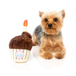 Fuzzyard Birthday Cupcake Plush Toy - Kohepets