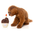 Fuzzyard Birthday Cupcake Plush Toy - Kohepets