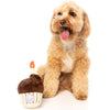 Fuzzyard Birthday Cupcake Plush Toy - Kohepets
