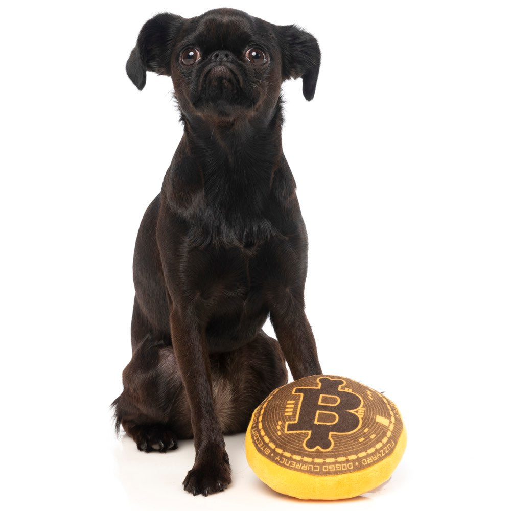 Fuzzyard Bite Coin Plush Toy - Kohepets