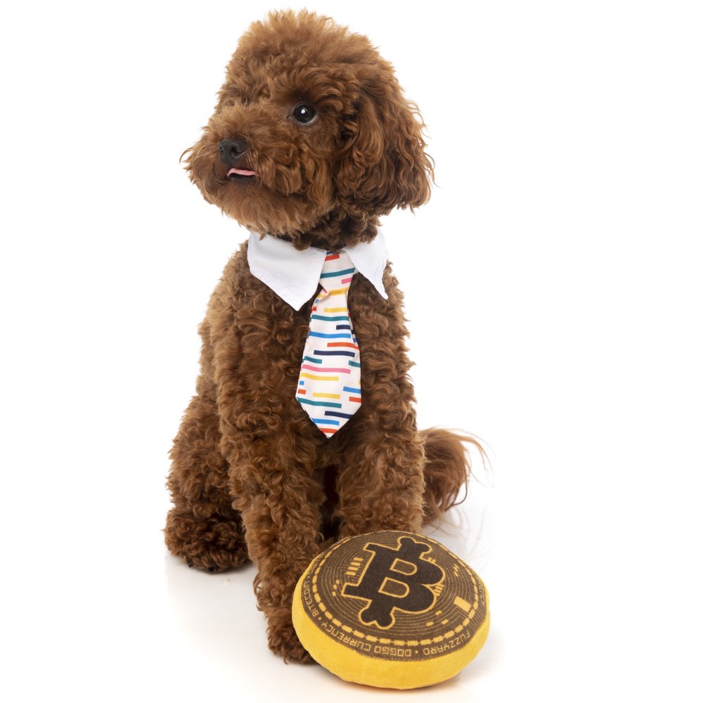 Fuzzyard Bite Coin Plush Toy - Kohepets