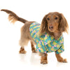 10% OFF: FuzzYard Button Up Shirt For Dogs (Bananarama)