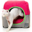 FuzzYard Cubby Cat Cube (Juicy) - Kohepets