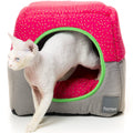 FuzzYard Cubby Cat Cube (Juicy) - Kohepets