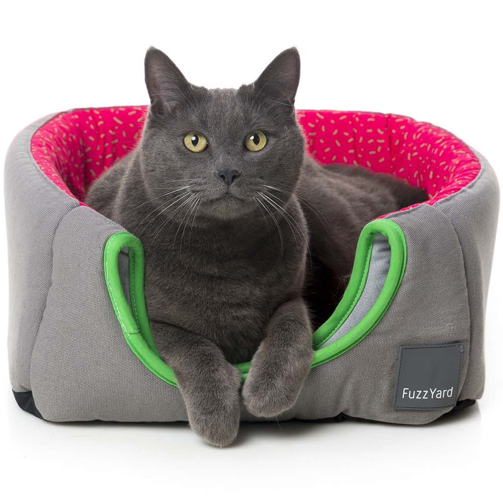 FuzzYard Cubby Cat Cube (Juicy) - Kohepets