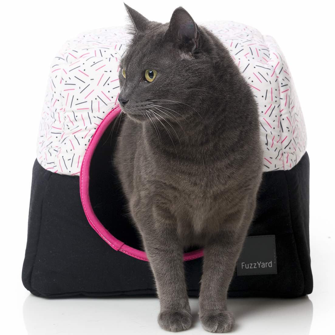 FuzzYard Cubby Cat Cube (Shinjuku) - Kohepets