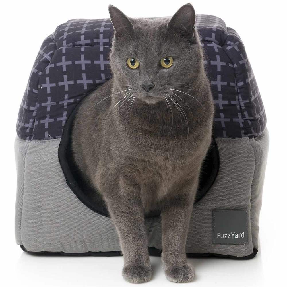 FuzzYard Cubby Cat Cube (Yeezy) - Kohepets