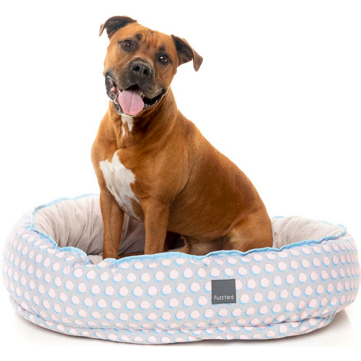 FuzzYard Reversible Dog Bed (Dippin') - Kohepets