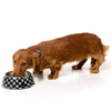 FuzzYard Easy Feeder Dog Bowl - Bad To The Bone (Black) (discontinued) - Kohepets