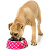 FuzzYard Easy Feeder Dog Bowl - Bad To The Bone (Pink) (discontinued) - Kohepets
