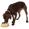 FuzzYard Easy Feeder Dog Bowl - Bubblelicious (Orange) (discontinued) - Kohepets