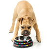FuzzYard Easy Feeder Dog Bowl - Jelly Bones (discontinued) - Kohepets