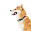 Fuzzyard Dog Collar (Bel Air) - Kohepets