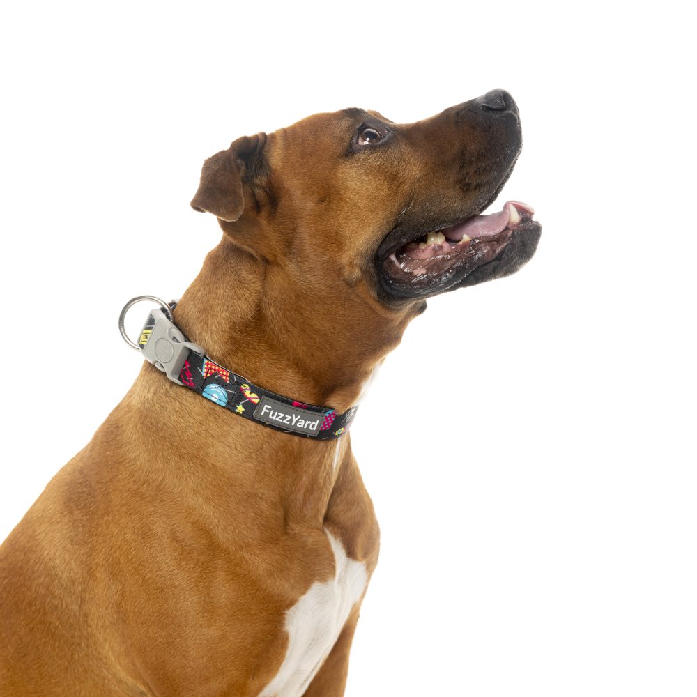Fuzzyard Dog Collar (Bel Air) - Kohepets