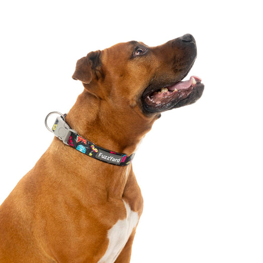 Fuzzyard Dog Collar (Bel Air) - Kohepets