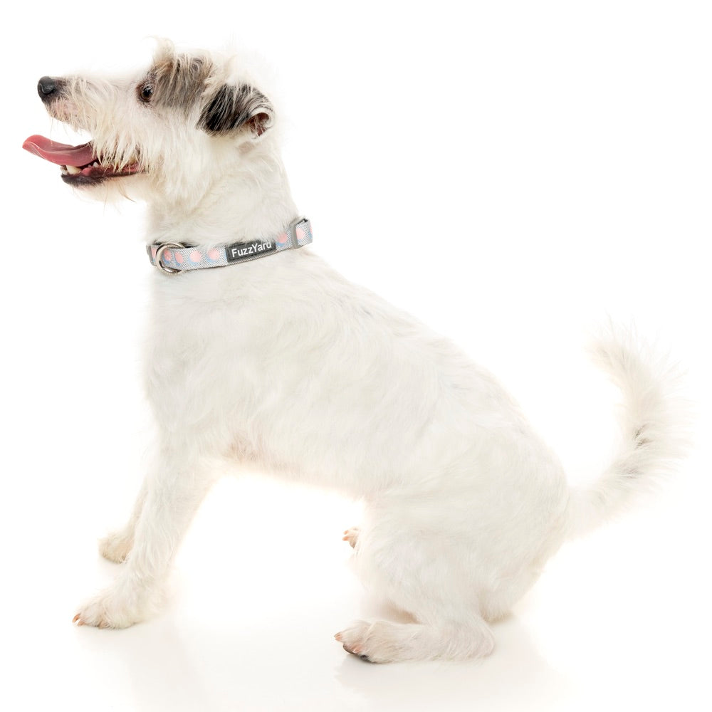 Fuzzyard Dog Collar (Dippin') - Kohepets