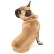 Fuzzyard Dog Collar (Doggoforce) - Kohepets