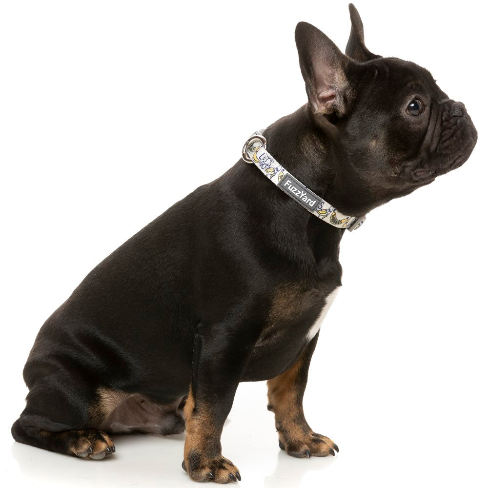 FuzzYard Dog Collar (Go Bananas)