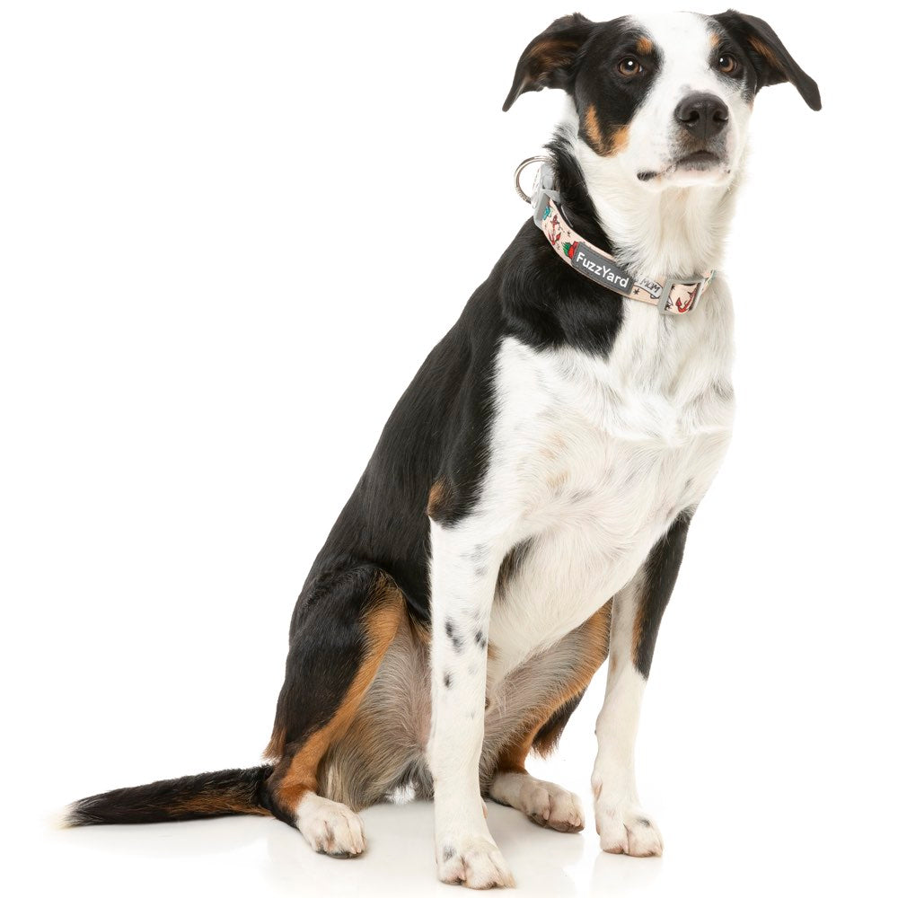 FuzzYard Dog Collar (Ink'd Up)