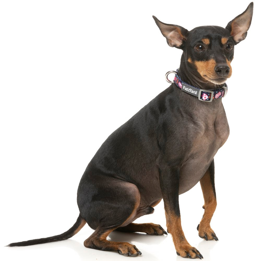 FuzzYard Dog Collar (Jackpup)
