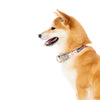 Fuzzyard Dog Collar (Sushiba) - Kohepets