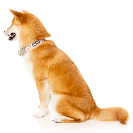 Fuzzyard Dog Collar (Sushiba) - Kohepets