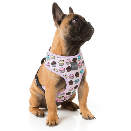 FuzzYard Fresh Cupcakes Dog Harness (discontinued) - Kohepets