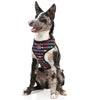 FuzzYard Jelly Bones Dog Harness (discontinued) - Kohepets