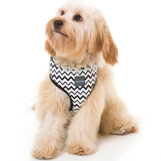 FuzzYard Ok Ok Dog Harness (discontinued) - Kohepets