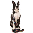 FuzzYard Dog Leash (Bed Bugs)