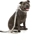 FuzzYard Dog Leash (Go Bananas)