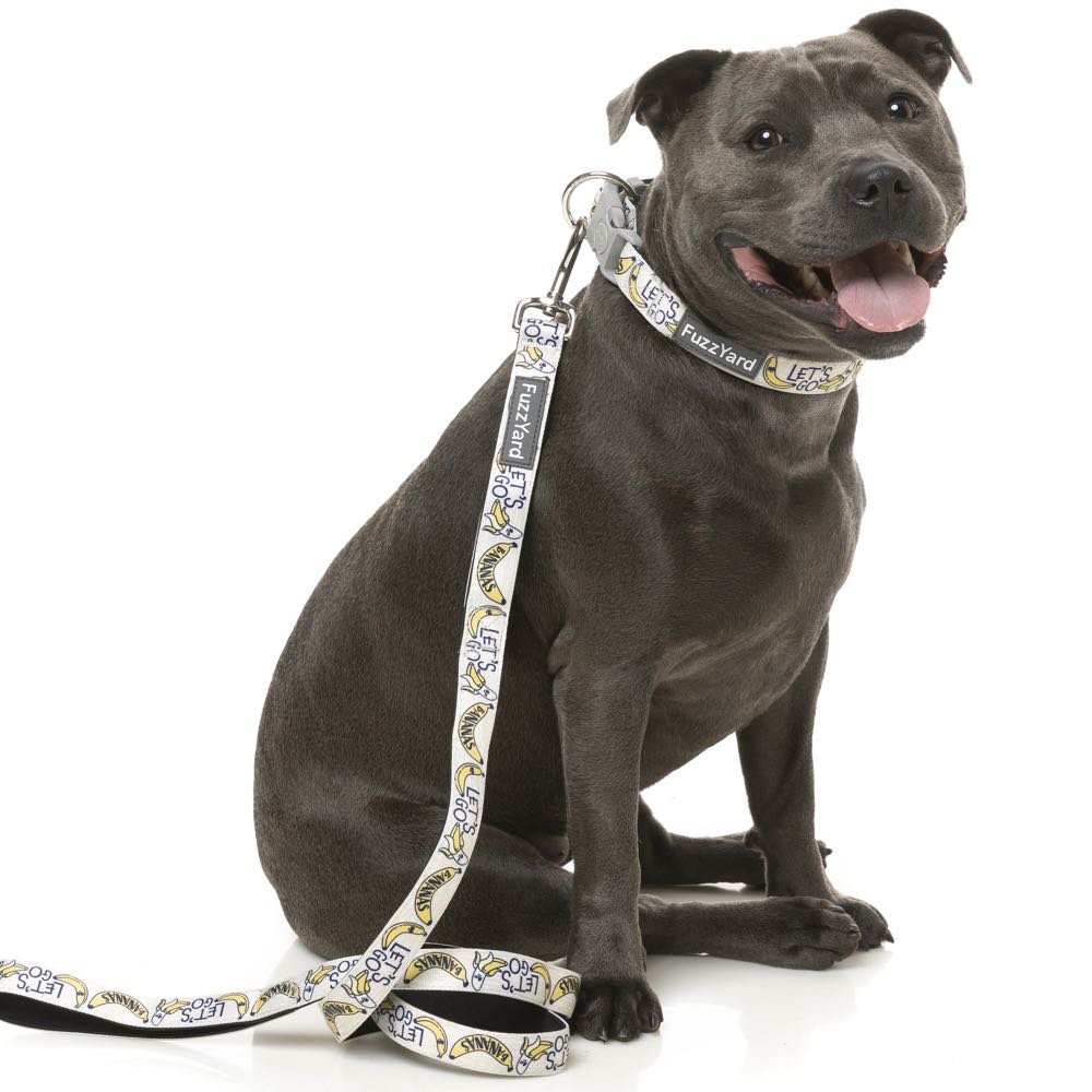 FuzzYard Dog Leash (Go Bananas)