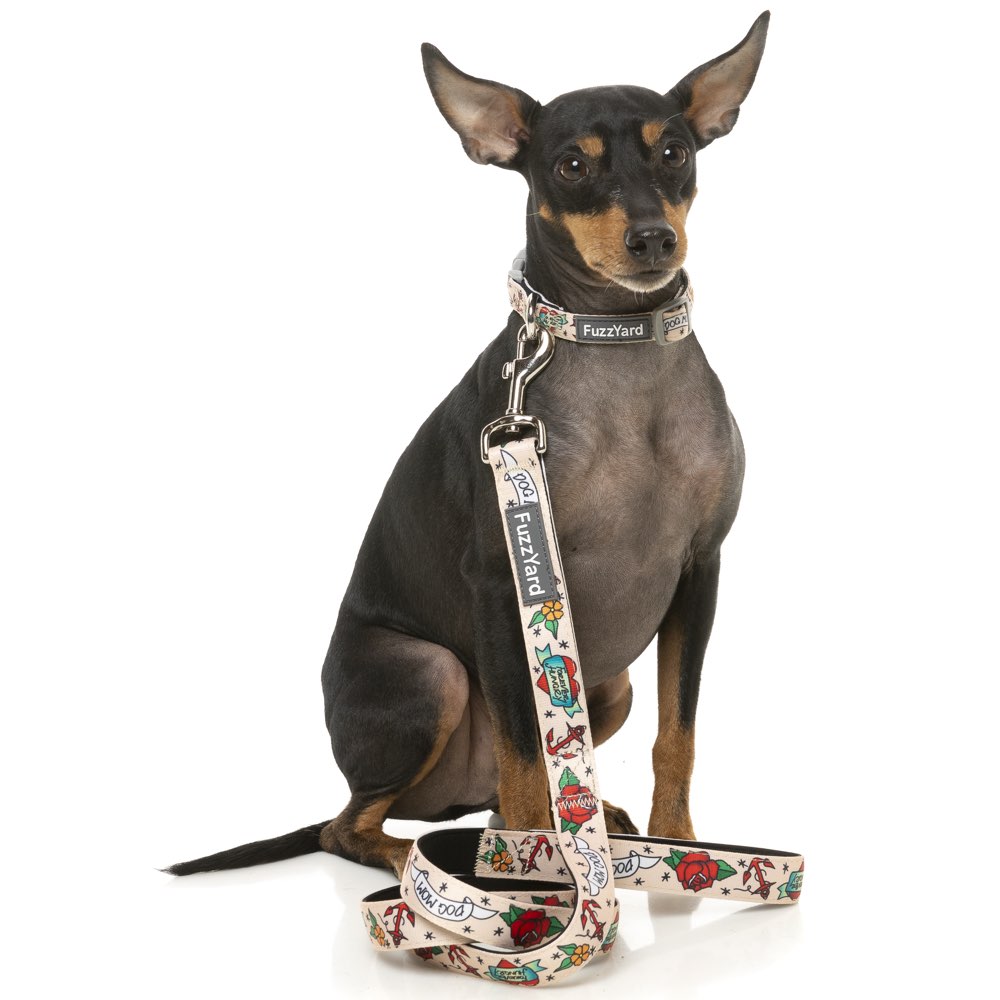 FuzzYard Dog Leash (Ink'd Up)