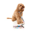 Fuzzyard Dog Leash (Jiggy) - Kohepets
