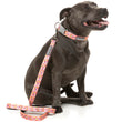 FuzzYard Dog Leash (Two-Cans)