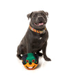 Fuzzyard Doggoforce Toy (Rumble) - Kohepets