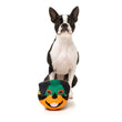 Fuzzyard Doggoforce Toy (Rumble) - Kohepets