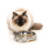 Fuzzyard Easy Feeder Cat Bowl (Gatsby) - Kohepets