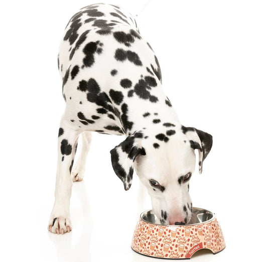 FuzzYard Easy Feeder Dog Bowl (Daily Grind) Kohepets