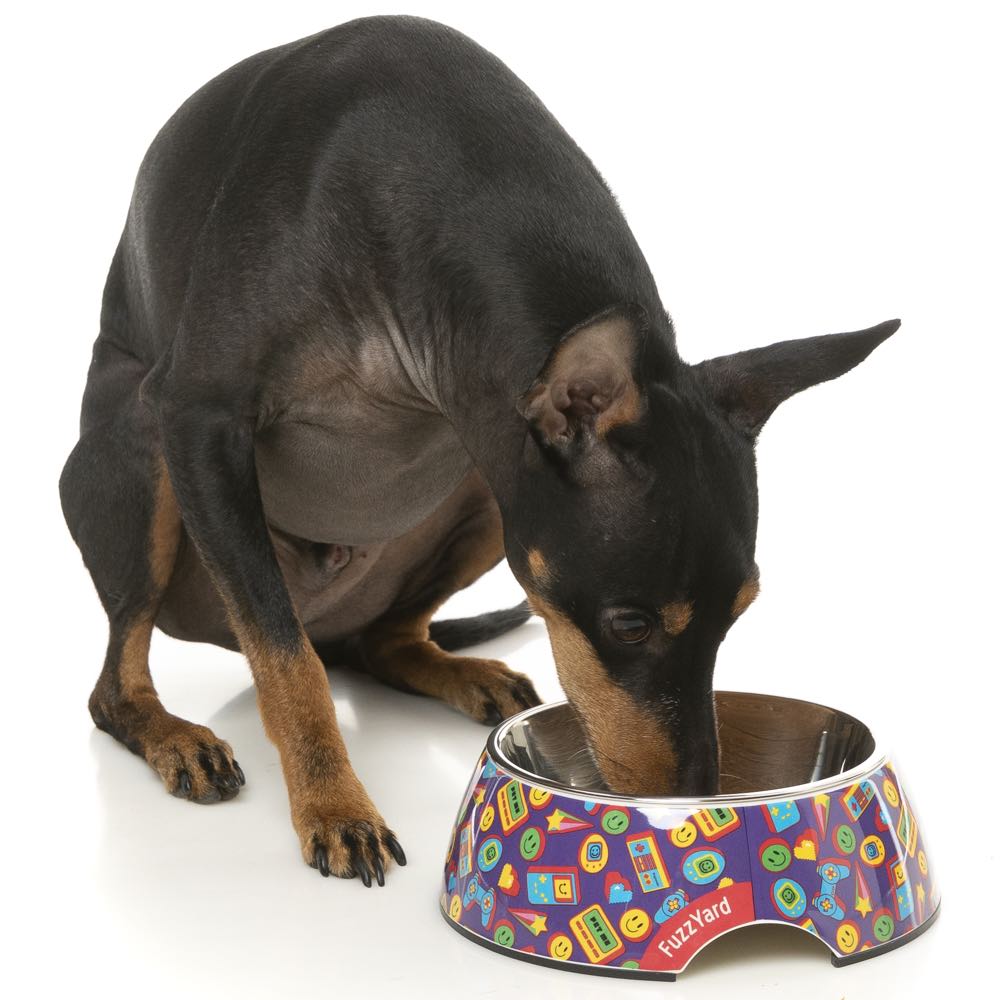15% OFF: FuzzYard Easy Feeder Dog Bowl (Highscore)