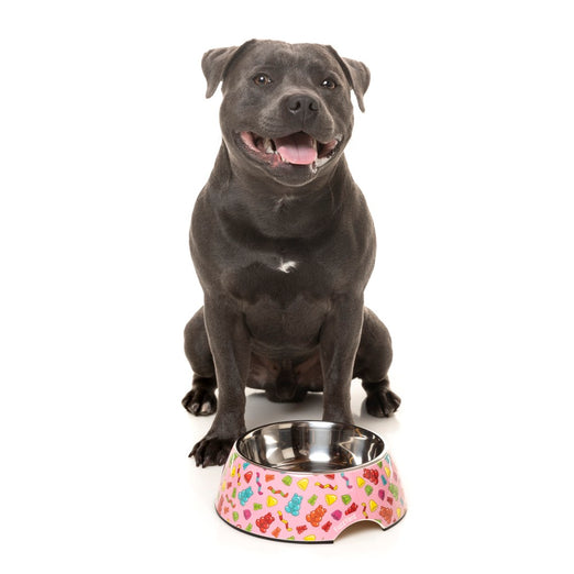 FuzzYard Easy Feeder Dog Bowl (Jelly Bears) - Kohepets