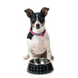 FuzzYard Easy Feeder Dog Bowl (Yeezy) - Kohepets