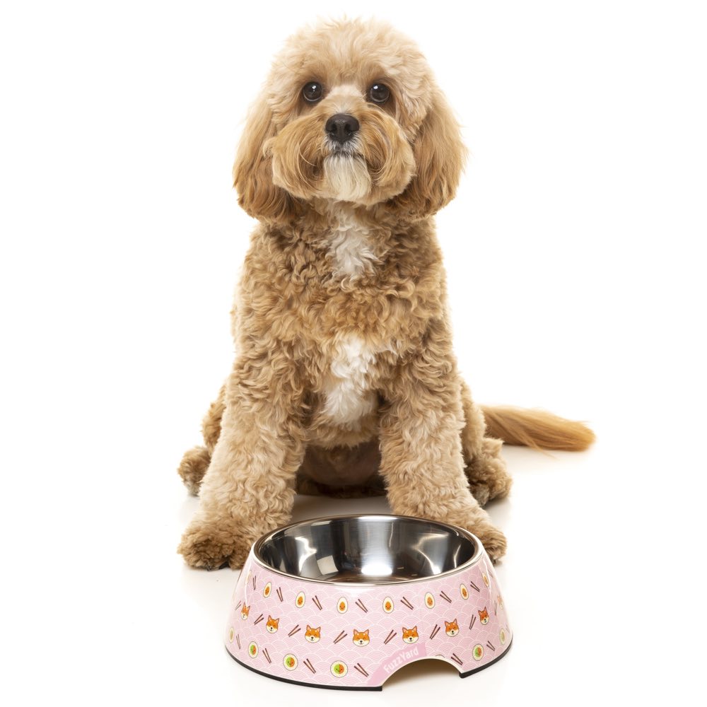 FuzzYard Easy Feeder Dog Bowl - Sushiba - Kohepets